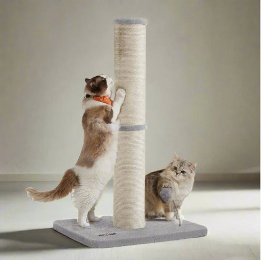 Griffoir chat - Poteau sisal