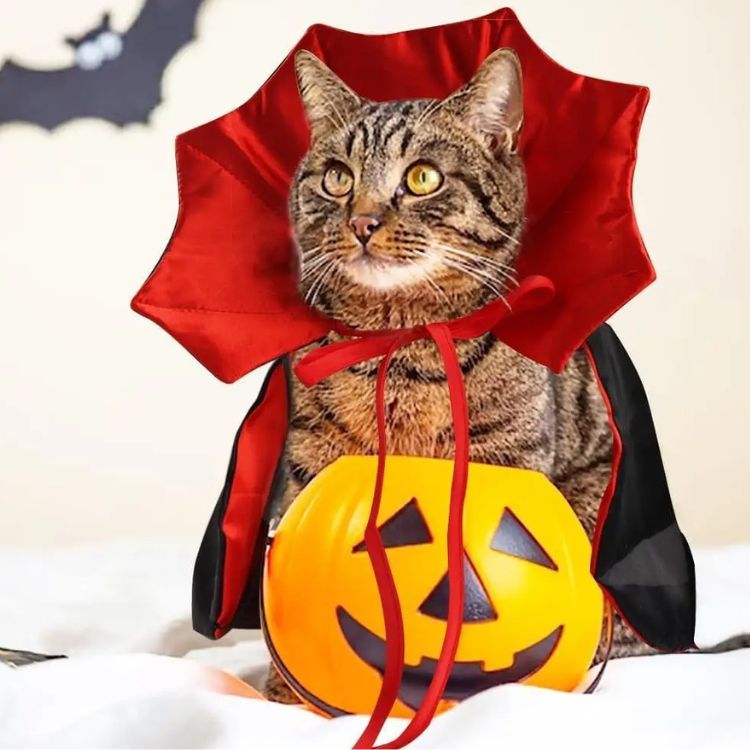 Costume-Halloween-cape