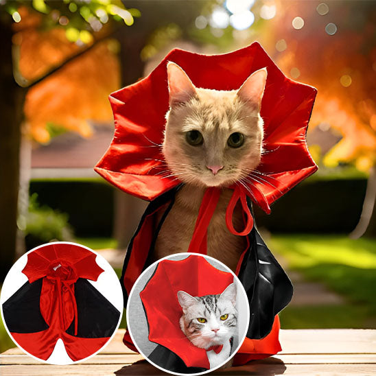 Costume-Halloween-chaton