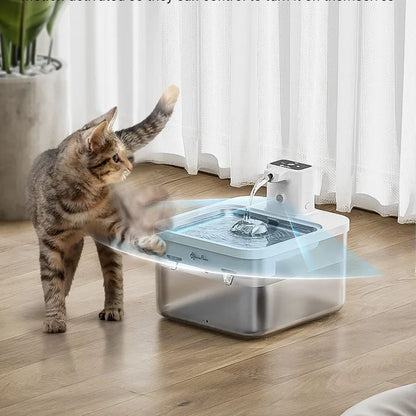 Fontaine a eau chat - DownyPaws 2.5L