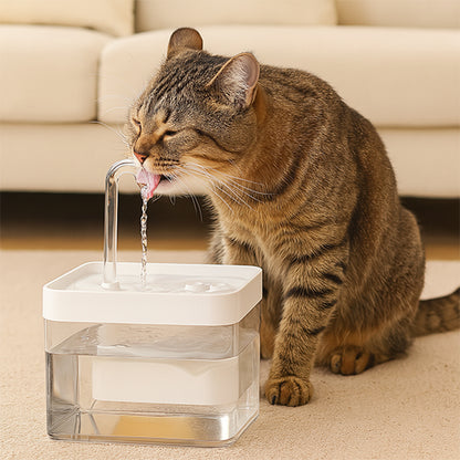 Fontaine a eau chat silencieuse 1,5 L blanc avec réservoir transparent utilisée par un chat hydratation continue