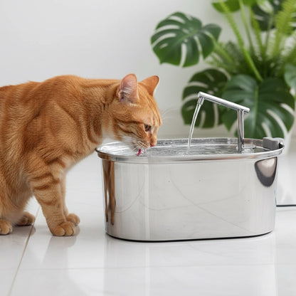 Fontaine à eau pour chat en acier inoxydable - PureCat