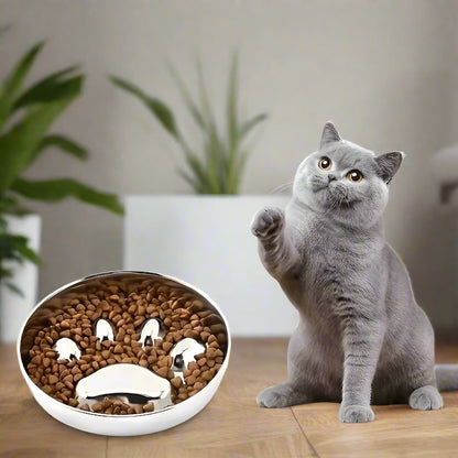 gamelle anti glouton chat en acier inoxydable pour ralentir l’ingestion