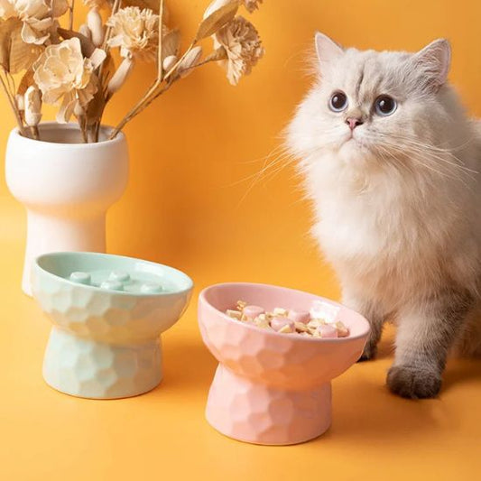 gamelle anti glouton en céramique avec labyrinthe pour chat mangeant paisiblement