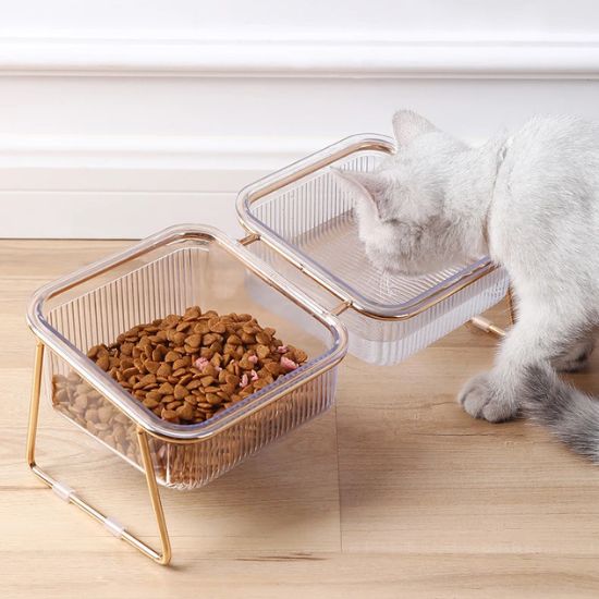gamelle chat désign premium surélevée  petit chat mangeant dans des bols en plastique transparent sur support doré soulage digestion et hygiène facile idéale pour intérieur élégant