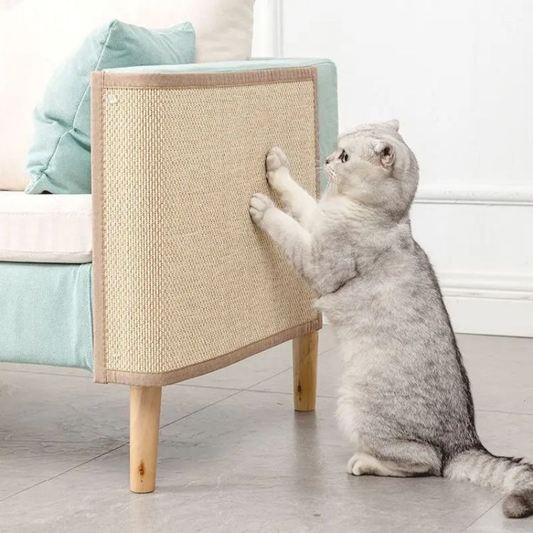 Griffoir à chat naturel bambou griffe seine
