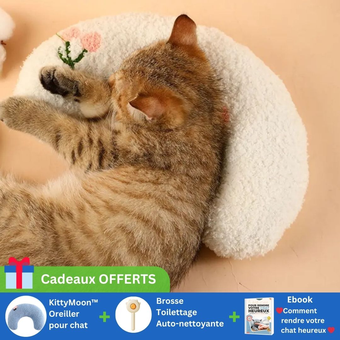 Coussin pour chat | KittyMoon™