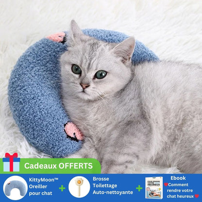 Coussin pour chat | KittyMoon™