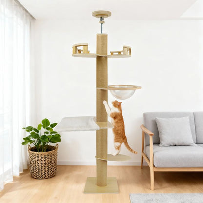 Arbre à chat au plafond avec bulle - Le Belvédère