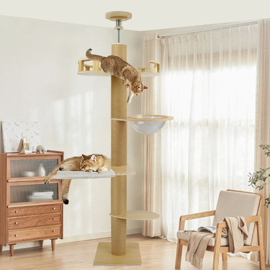 Arbre à chat au plafond avec bulle - Le Belvédère