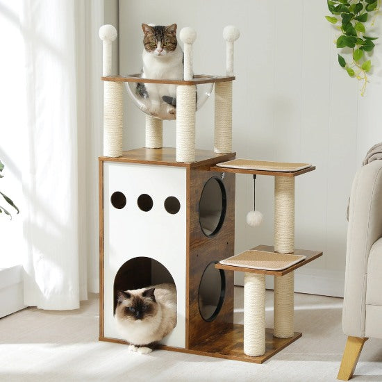 arbre a chat bois avec capsule transparente et deux chats style scandinave avec jouet pour chat couleur bois rustique