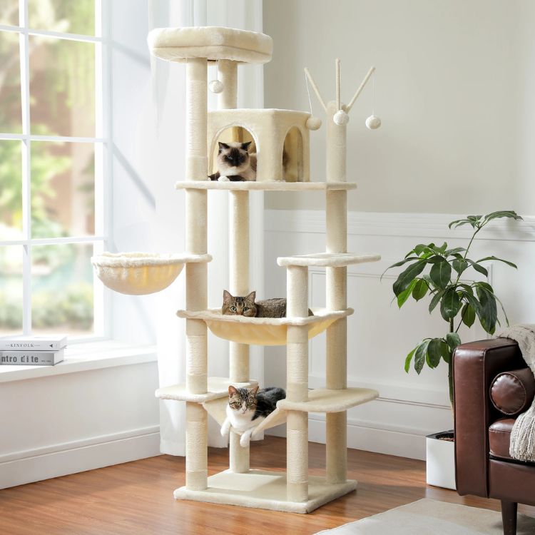 Arbre à chat en bois beige avec hamac, plusieurs niveaux et balle suspendue