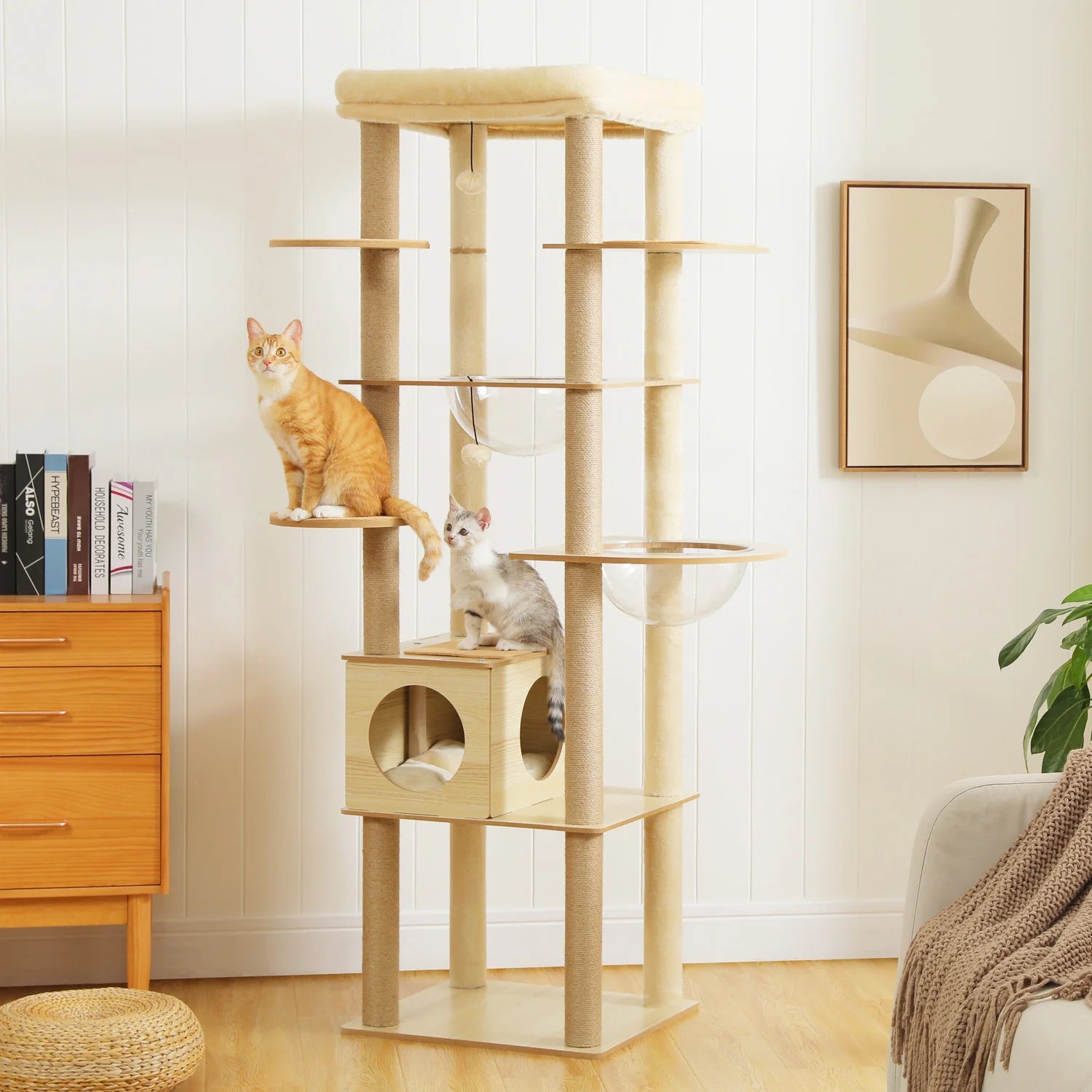 Arbre à chat bois design scandinave xxl avec bulle transparente