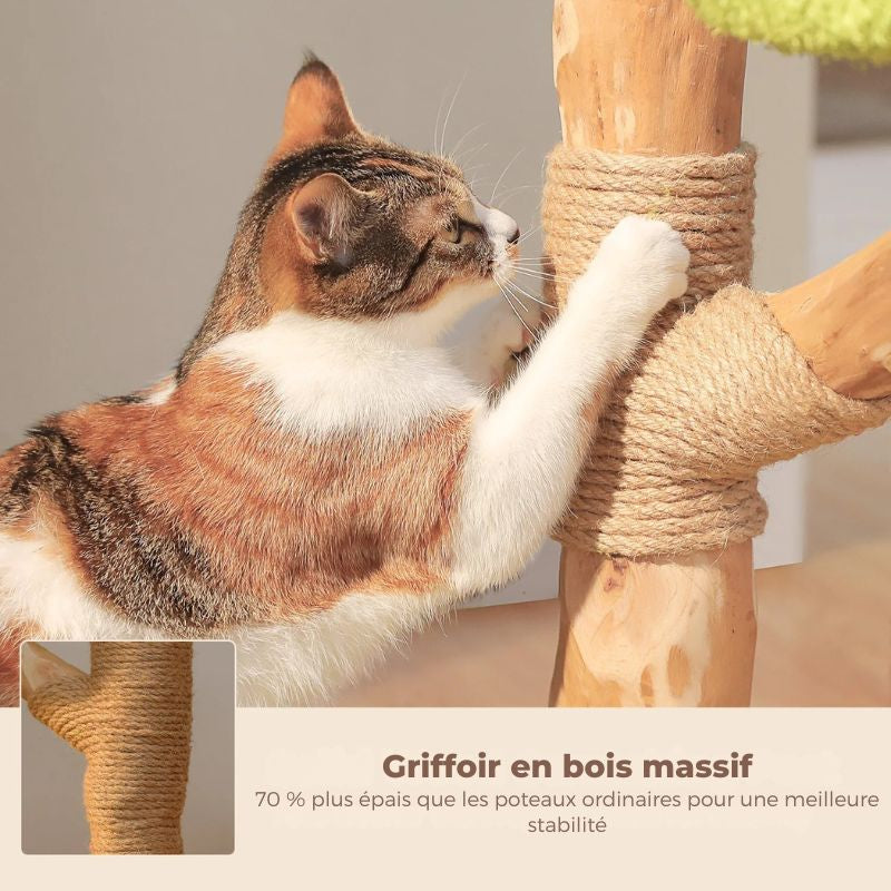 arbre a chat fleur bois massif avec griffoir en corde sisal naturel et chat qui fait ses griffes
