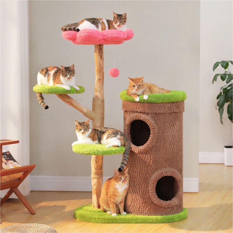 arbre à chat fleur design tronc arbre avec deux maisons pour chat et perchoir confortable