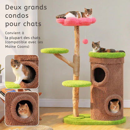 arbre à chat fleur avec structure bois massif et plateformes multi niveaux