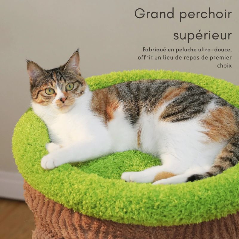 arbre à chat fleur multi niveau desing tronc arbre avec perchoir confortable et large