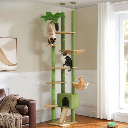 arbre à chat plafond design cactus reglable jusqua 252 cm pour les grands et petits éspaces, 7 niveaux pour multi chats
