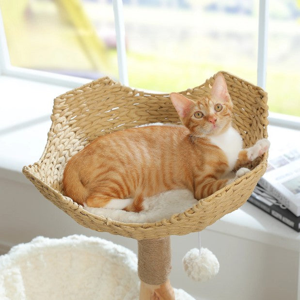 Chat roux allongé dans le panier supérieur en rotin de arbre a chat bois flotté
