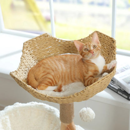 Chat roux allongé dans le panier supérieur en rotin de arbre a chat bois flotté