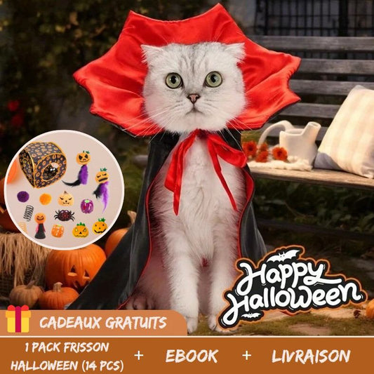 costume-halloween-chat