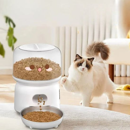 distributeur croquette chat contrôle alimentaire à distance