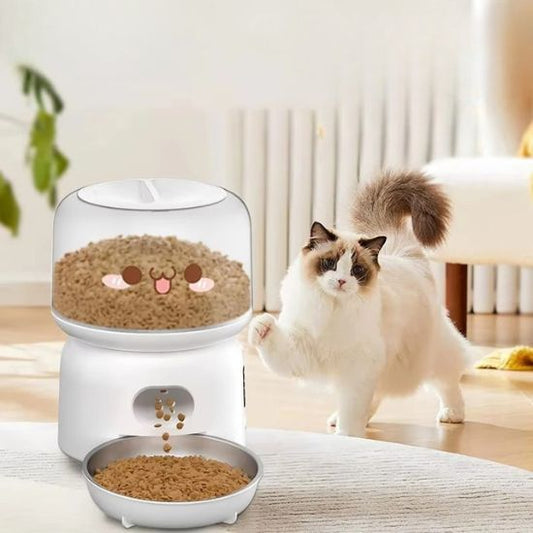 distributeur croquette chat contrôle alimentaire à distance