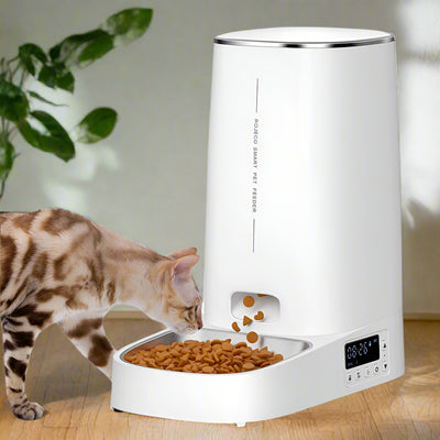 Distributeur croquettes chat blanc avec écran digital et chat Bengal en train de manger