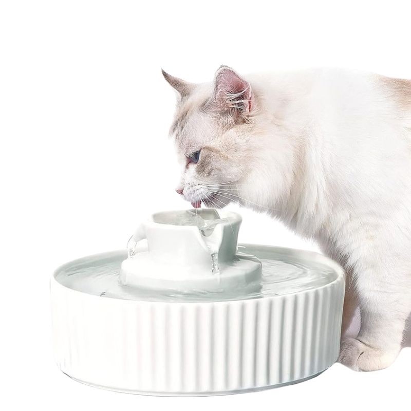 fontaine a eau céramique chat couleur blanc avec un chat qui boit paisiblement de l'eau fraiche filtrée au continu