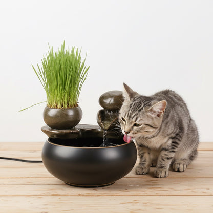 fontaine à eau chat céramique sans filtre argile cuite haute temperature avec chat buvant de l'eau style zen sobre