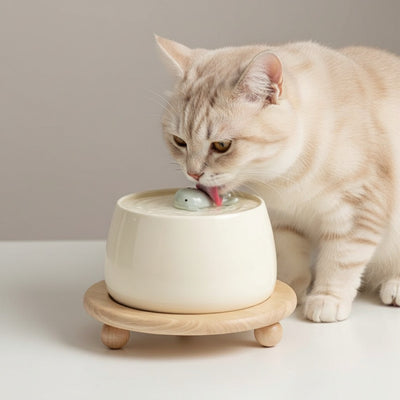 Fontaine à eau chat en Céramique ultra silencieuse beige avec motif baleine et support bois
