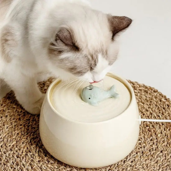 Fontaine à eau chat en céramique ultra-silencieuse beige  avec un chat buvant d'une fontaine avec bec en forme de baleine sur un tapis tissé 