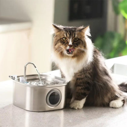 fontaine à eau pour chat en inox l'hydratation premium un chat boit sur un comptoir avec fontaine à eau en mode robinet silencieuse
