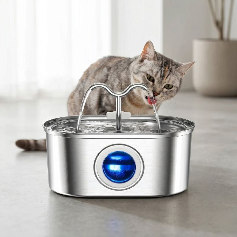 Fontaine à eau chat inox utilisation quotidienne hydratation eau fraiche