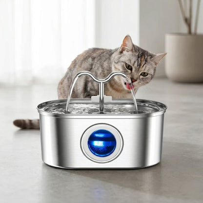 Fontaine à eau chat inox utilisation quotidienne hydratation eau fraiche