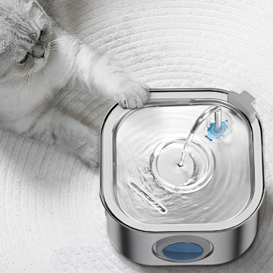 fontaine à eau pour chat en inox chat clair touche la fontaine moderne en acier inoxydable avec une patte inspectant le flux d'eau