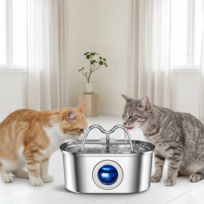Fontaine à eau chat inox adaptée pour plusieurs chats