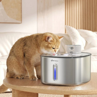 Fontaine à eau chat sans électricité en inox encourageant votre chat à boire davantage au quotidien