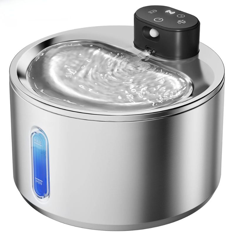 fontaine à eau chat sans électricité capacité 4L avec 1 filtre design noir et corps inox