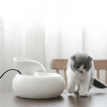Fontaine a eau pour chat ceramique blanche avec chaton curieux buvant paisiblement