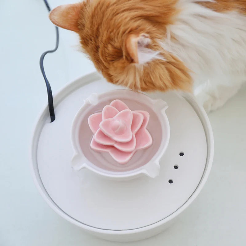 fontaine ceramique chat design fleur lotus avec chat hydratation avec filtration