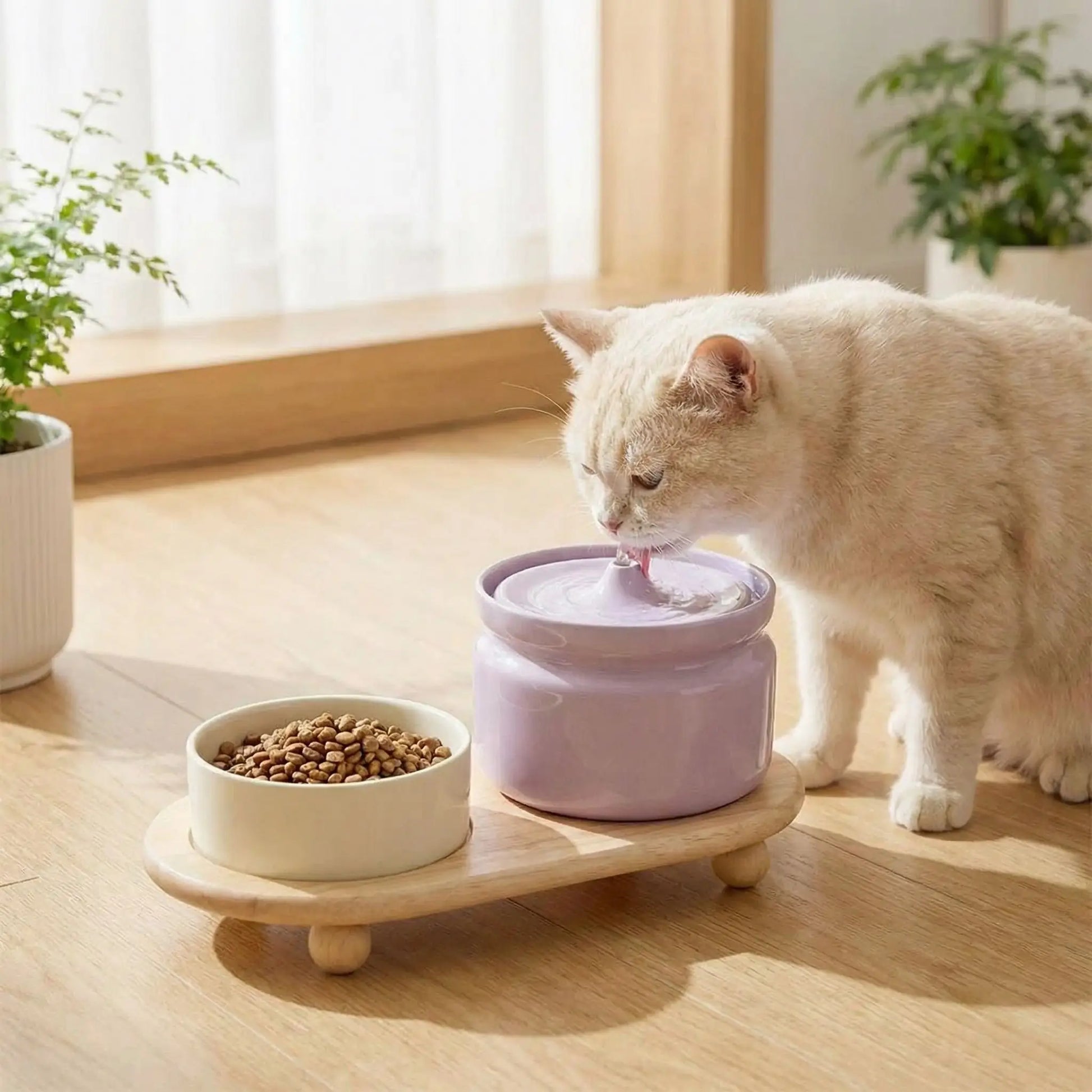 fontaine a eau chat ceramique couleur violet avec gamelle céramique couleur beige creme et chat buvant paisiblement avec support bois avec filtre charbon