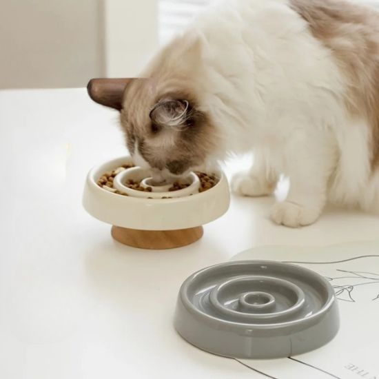 Gamelle anti glouton céramique haute qualité chat mangeant zen
