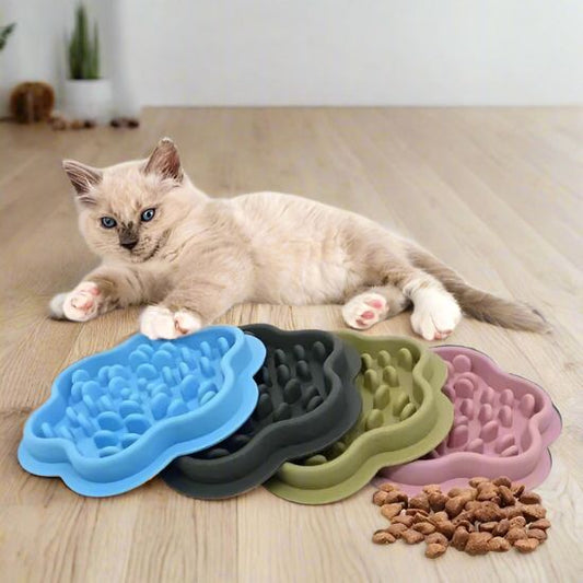 Gamelle anti glouton chat avec bol puzzle pour ralentir l’alimentation