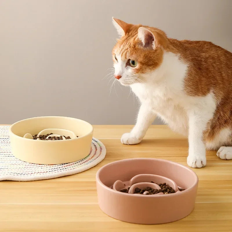 Gamelle anti glouton chat en céramique pour digestion lente et repas apaisé