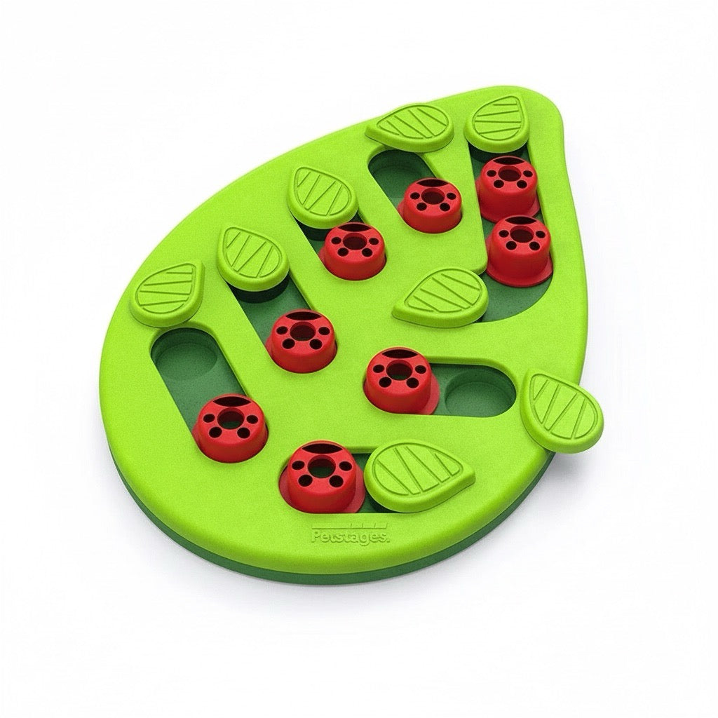 gamelle anti glouton chat puzzle interactif friandises forme feuille verte pour stimuler instincts félins