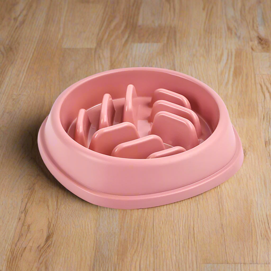 Gamelle anti glouton chat rose picots bient etre digestion
