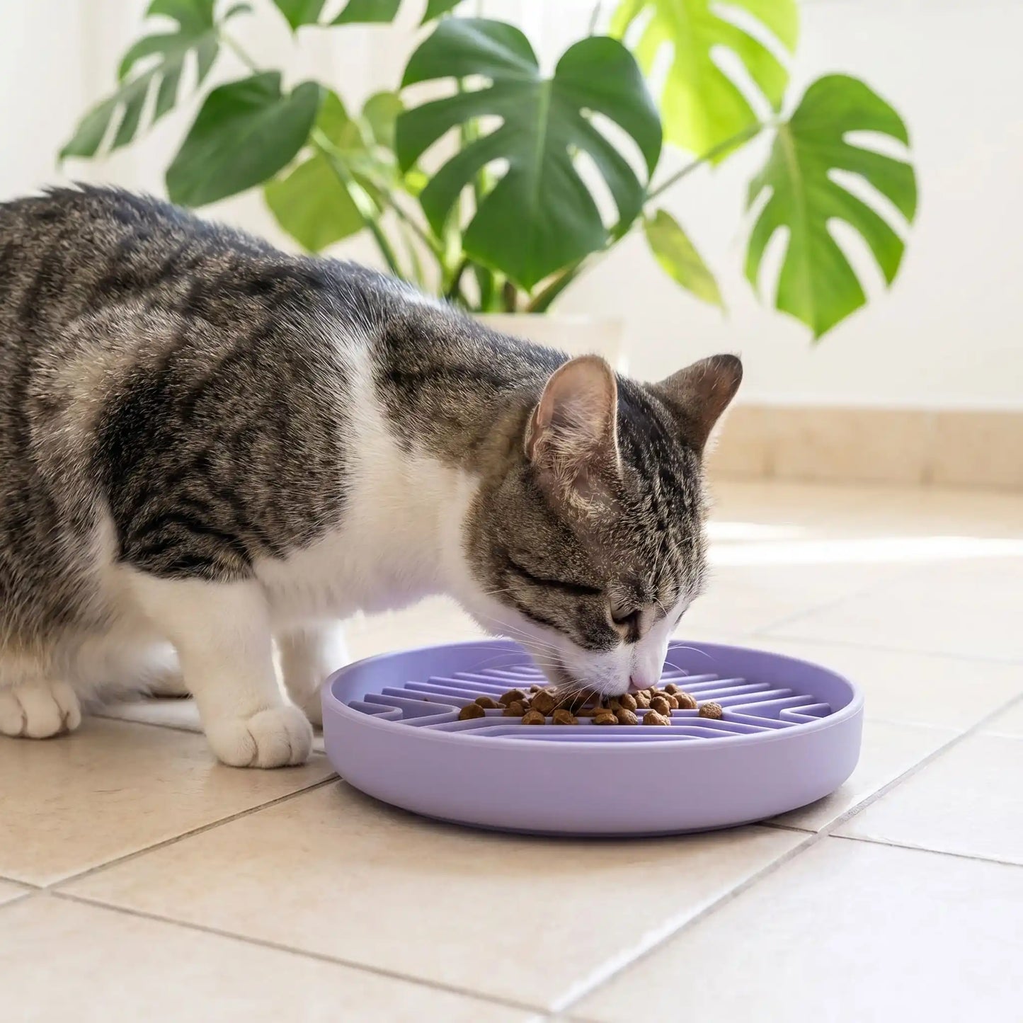 Gamelle anti glouton chat en silicone violette favorisant une alimentation plus lente