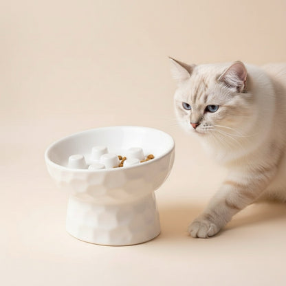gamelle anti glouton pour chat en céramique avec labyrinthe pour chat mangeant paisiblement