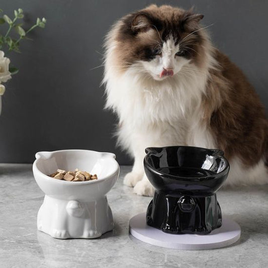 gamelle chat surélevée en céramique avec chat dégustant son repas confortablement
